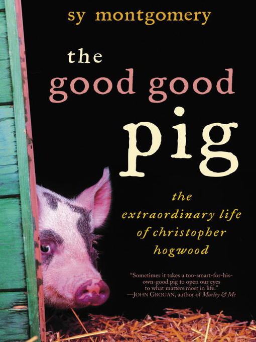 Cover image for The Good Good Pig